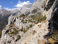 IMG 4023 copy  note the cable and the trail blaze